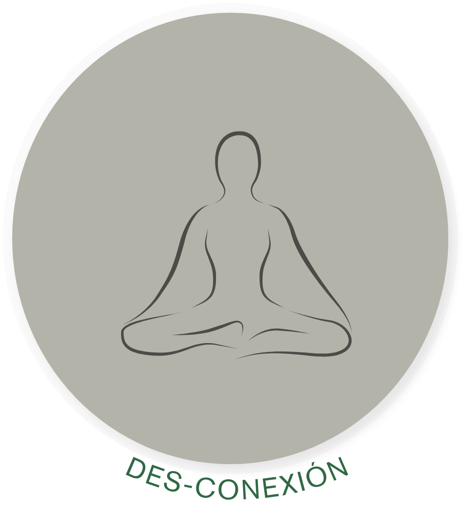 Desconexión